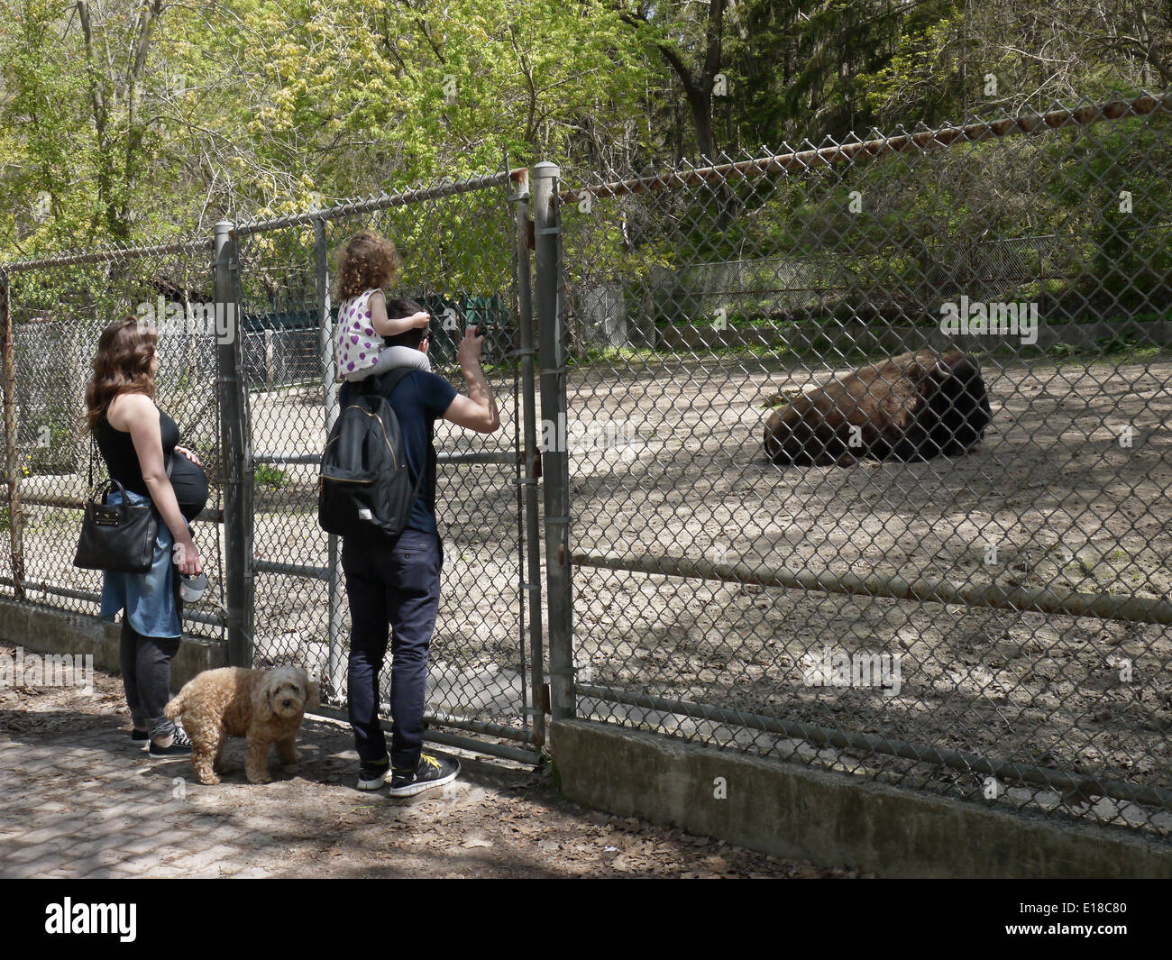 Famiglia bambini guardare lo zoo di animali dehor estivo Foto Stock