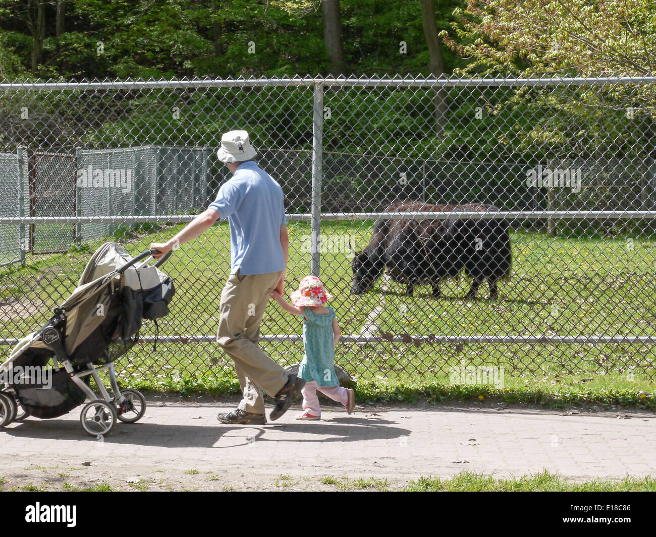 Famiglia passeggino zoo pomeriggio soleggiato estate Foto Stock