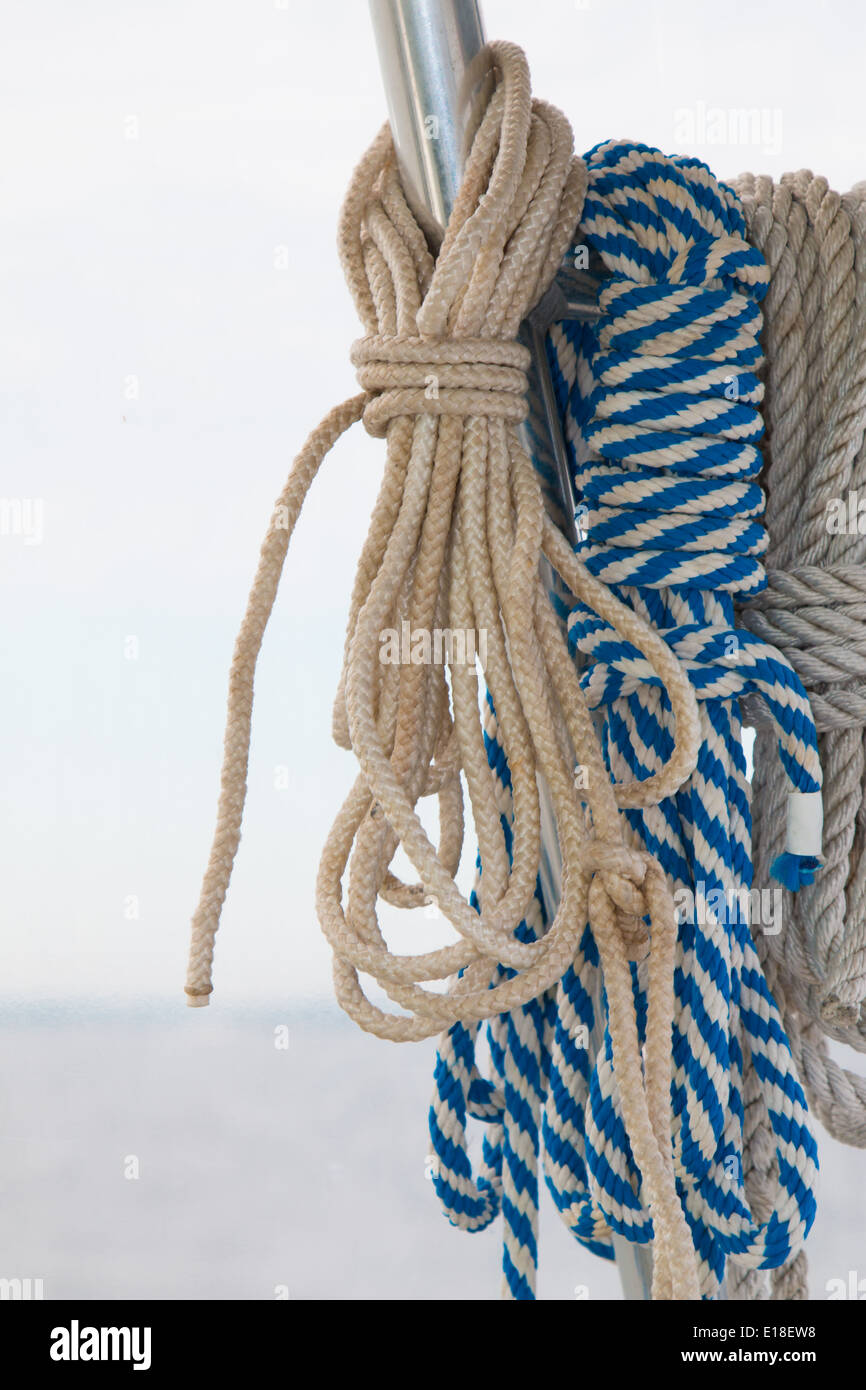 Linee e nodi Foto Stock