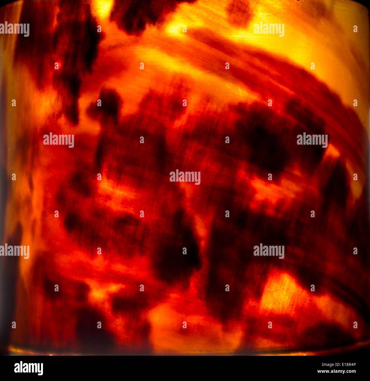 Prodotto tartaruga, retroilluminato per mostrare pattern. Foto Stock