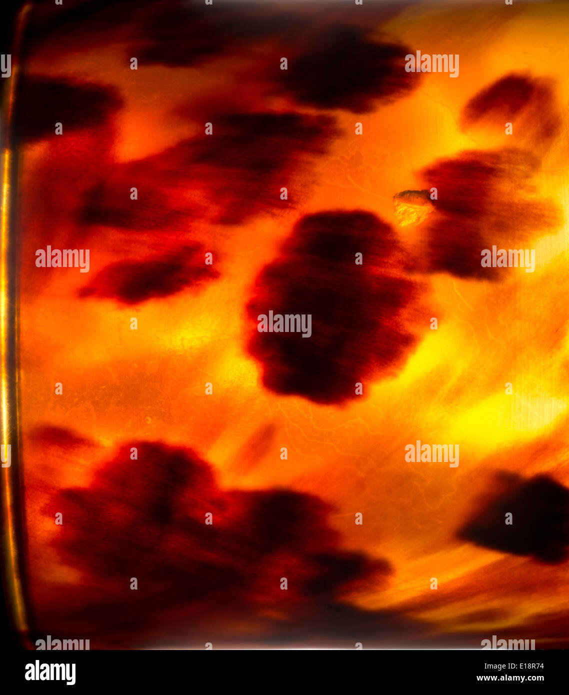 Prodotto tartaruga, retroilluminato per mostrare pattern. Foto Stock