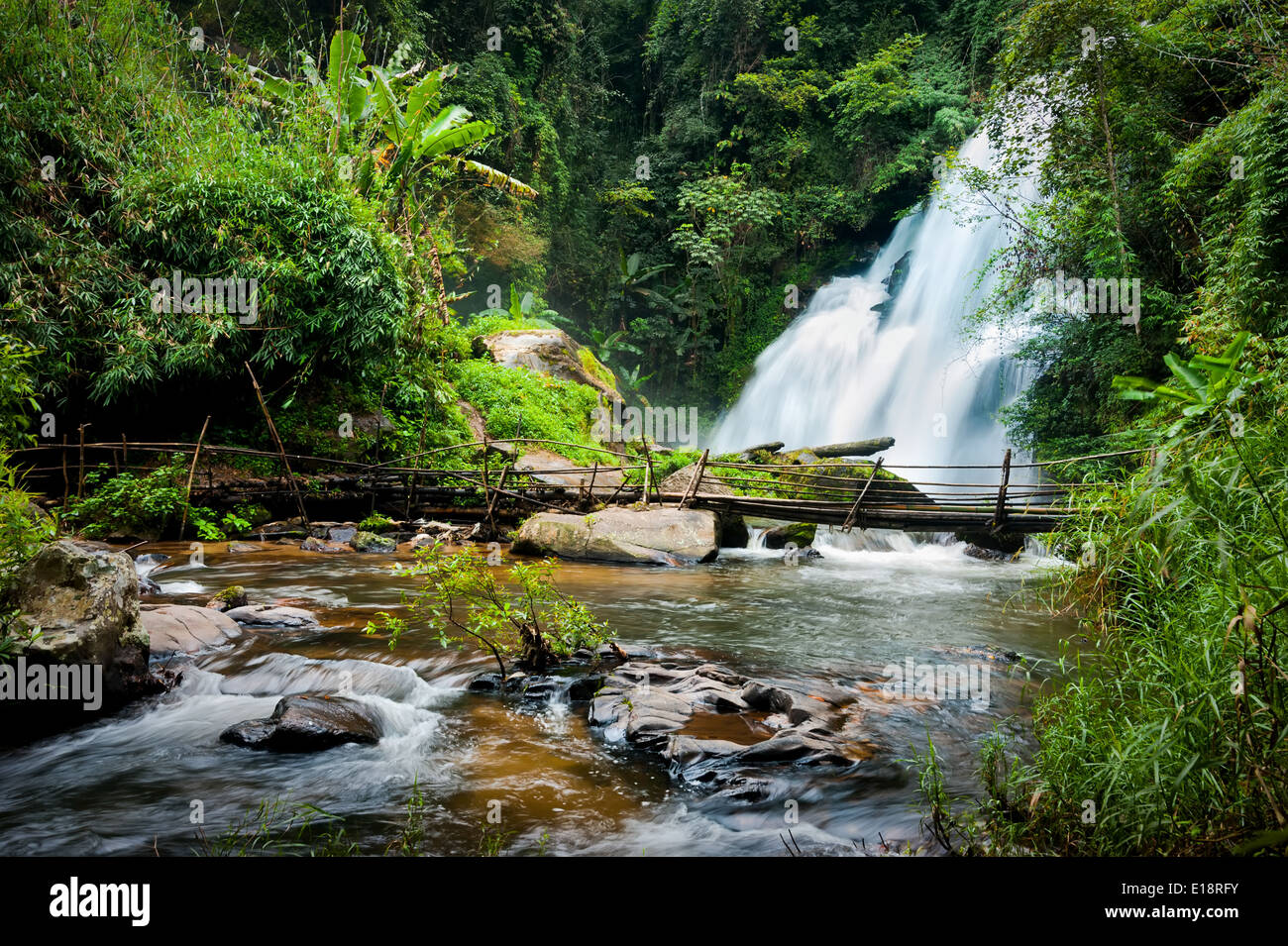 Pioggia tropicale paesaggio forestale giungla piante acqua fluente Pha Dok Xu cascata e ponte di bambù Mae Klang Luang village Doi Foto Stock