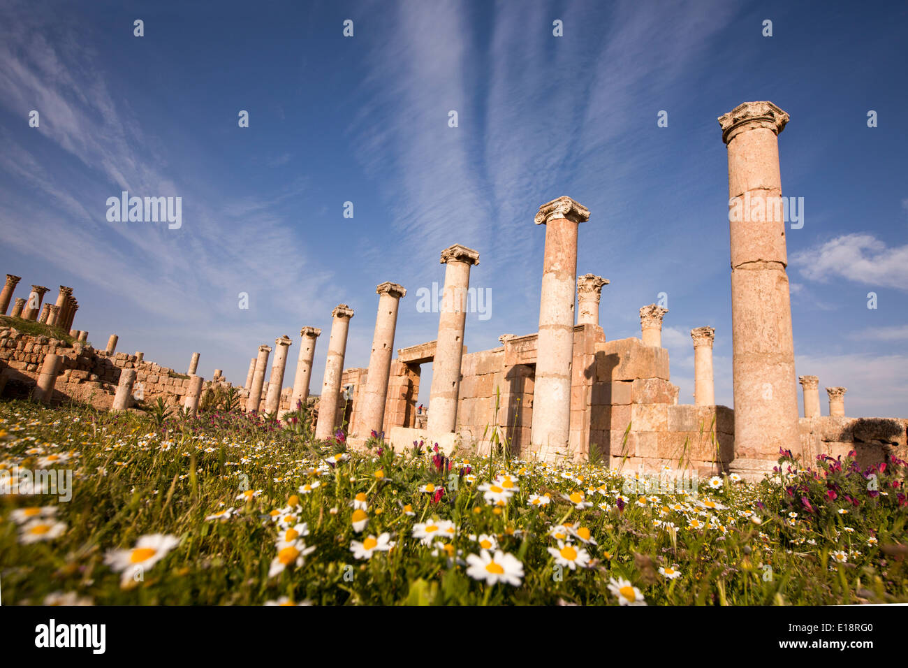 Rovine del Forum presso la città romana Gerasa nei pressi di Jerash, Giordania Foto Stock