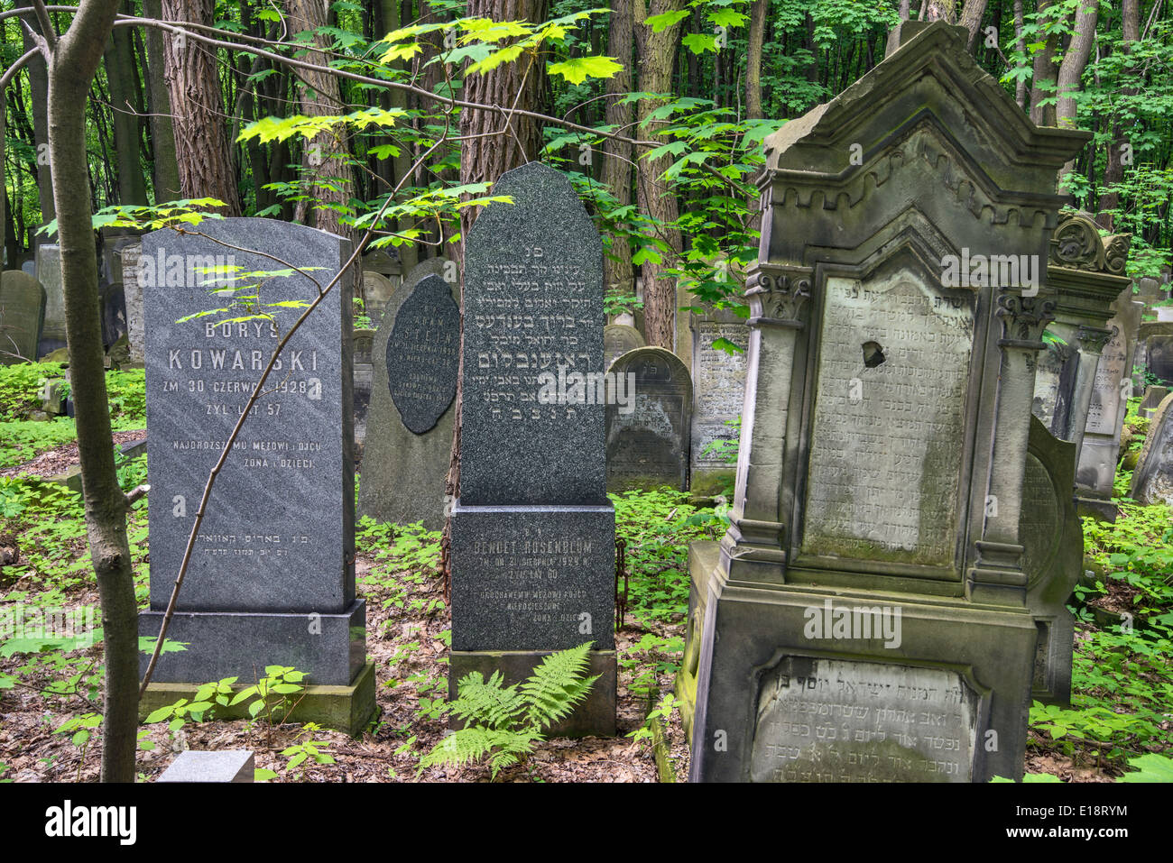 Lapidi al cimitero ebraico di Varsavia, Polonia Foto Stock
