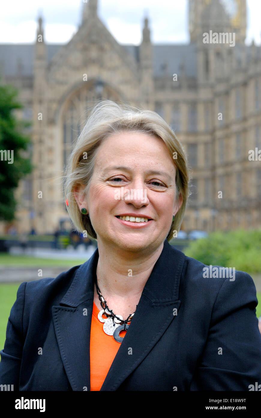 Natalie Bennett, leader del Partito Verde di Inghilterra e Galles [2014] Foto Stock
