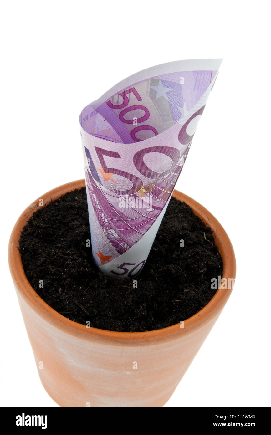 Ein Euro-Geldschein in Blumentopf. Simbolo Zinsen, Wachstum. Foto Stock