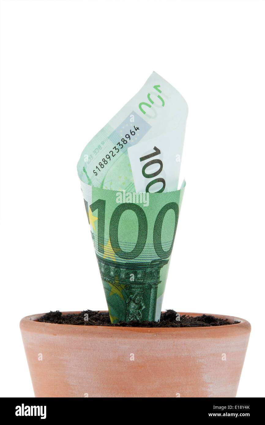 Ein Euro-Geldschein in Blumentopf. Simbolo Zinsen, Wachstum. Foto Stock
