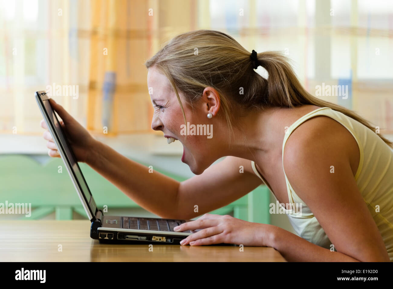 Eine Frau ‰rgert sich "ber Ihren Computer. Probleme mit Hardware, Software und Internetshopping Foto Stock