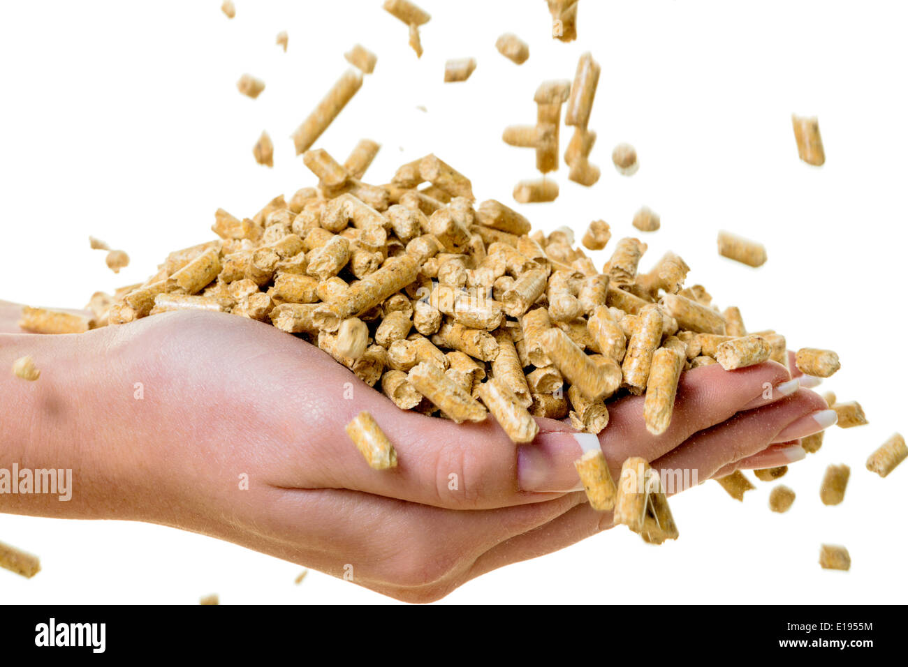 Energie Alternative f'r die Heizung. Heizen mit Pellets schon die Umwelt. Foto Stock