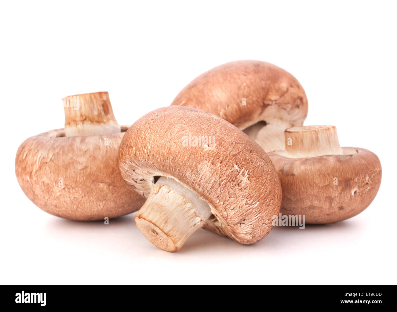 Marrone di funghi champignon gruppo isolato su sfondo bianco intaglio Foto Stock
