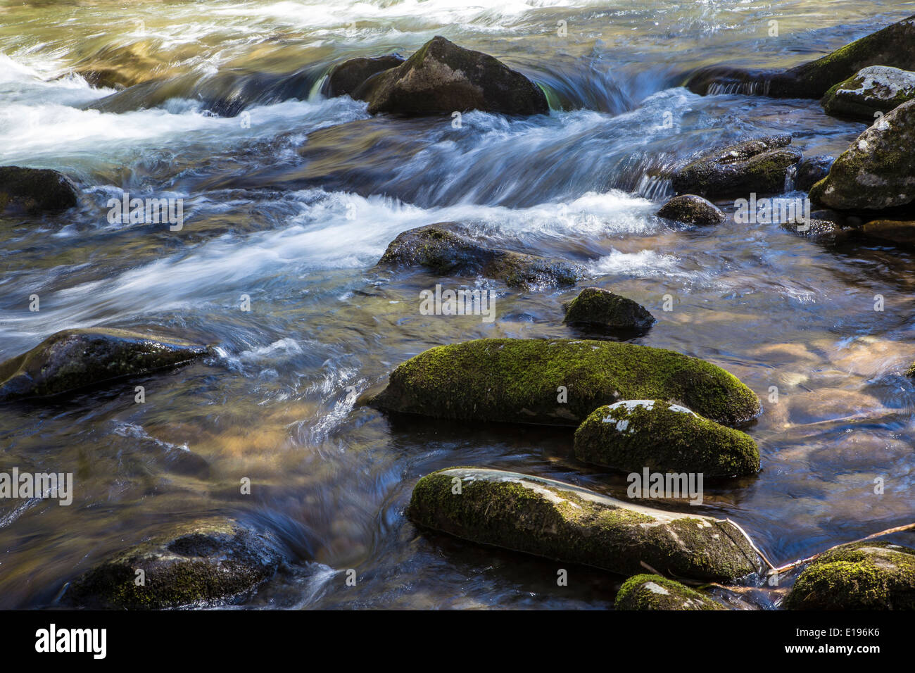 Jakes creek river è raffigurato nel Parco Nazionale di Great Smoky Mountains in Tennessee Foto Stock