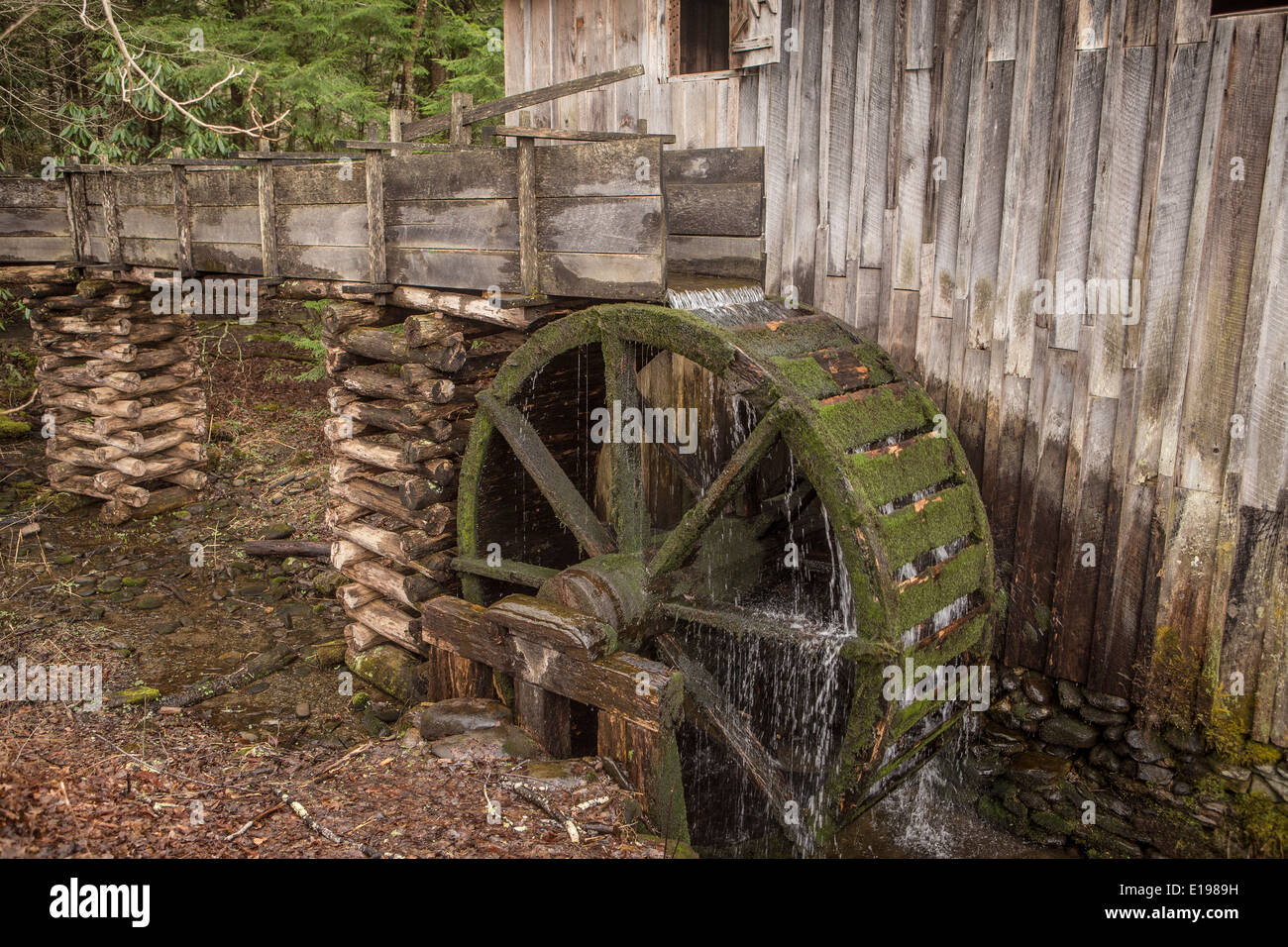 Cavo di John Grist Mill è raffigurato in Cades Cove area del Parco Nazionale di Great Smoky Mountains in Tennessee Foto Stock