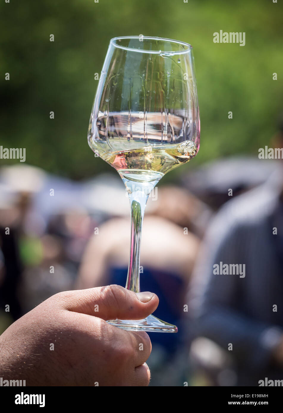 Uomo con in mano un bicchiere di Georgian bianco secco vino rkatsiteli sul giovane annuale festa del vino a Tbilisi. Foto Stock