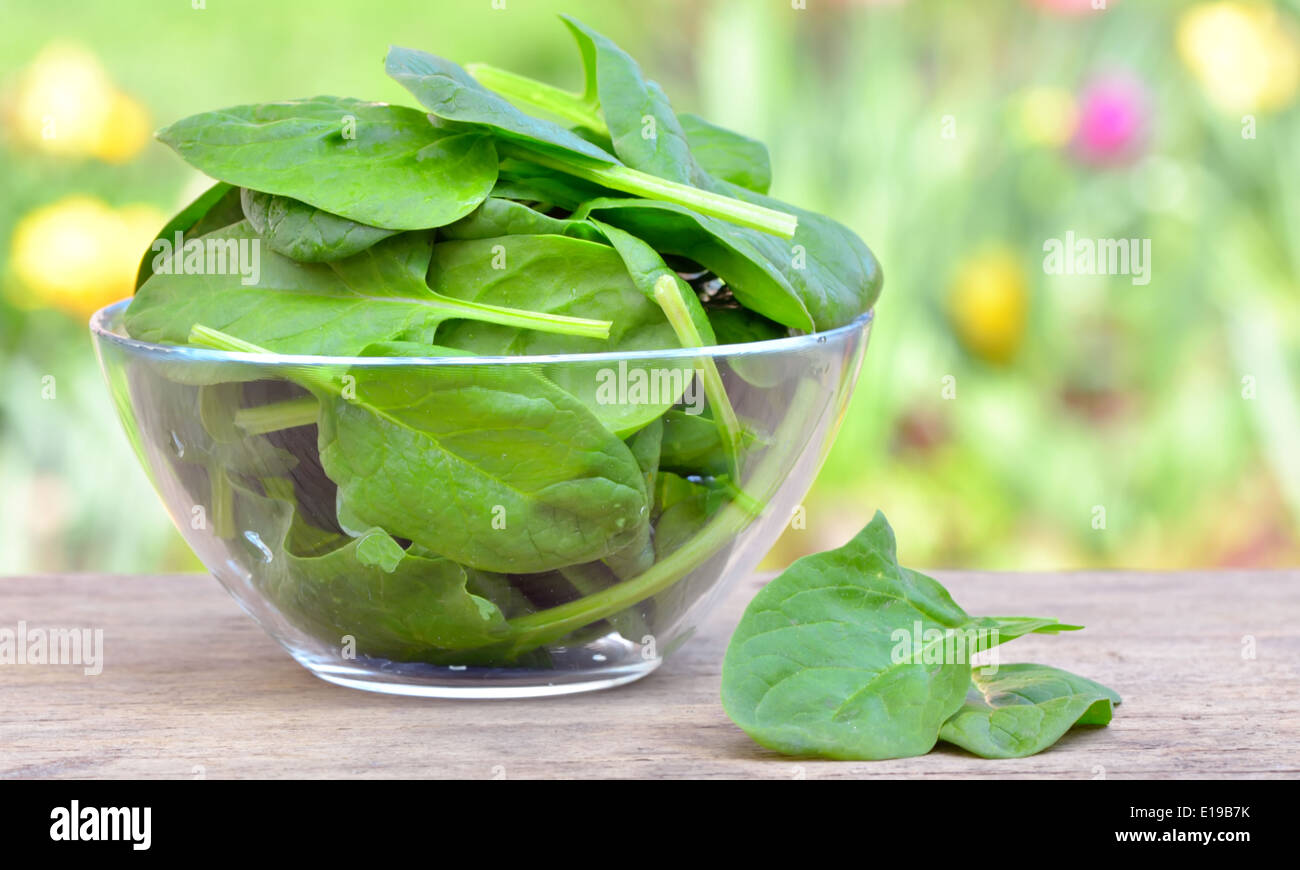 Fresh baby spinaci foglie in una ciotola Foto Stock