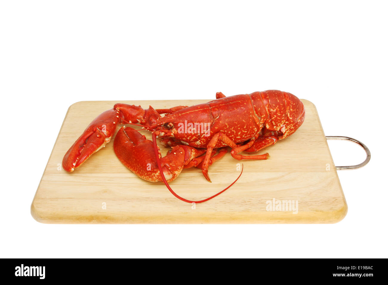 Tutto a base di aragosta cotta su una tavola di legno preparazione alimentare board isolata contro bianco Foto Stock