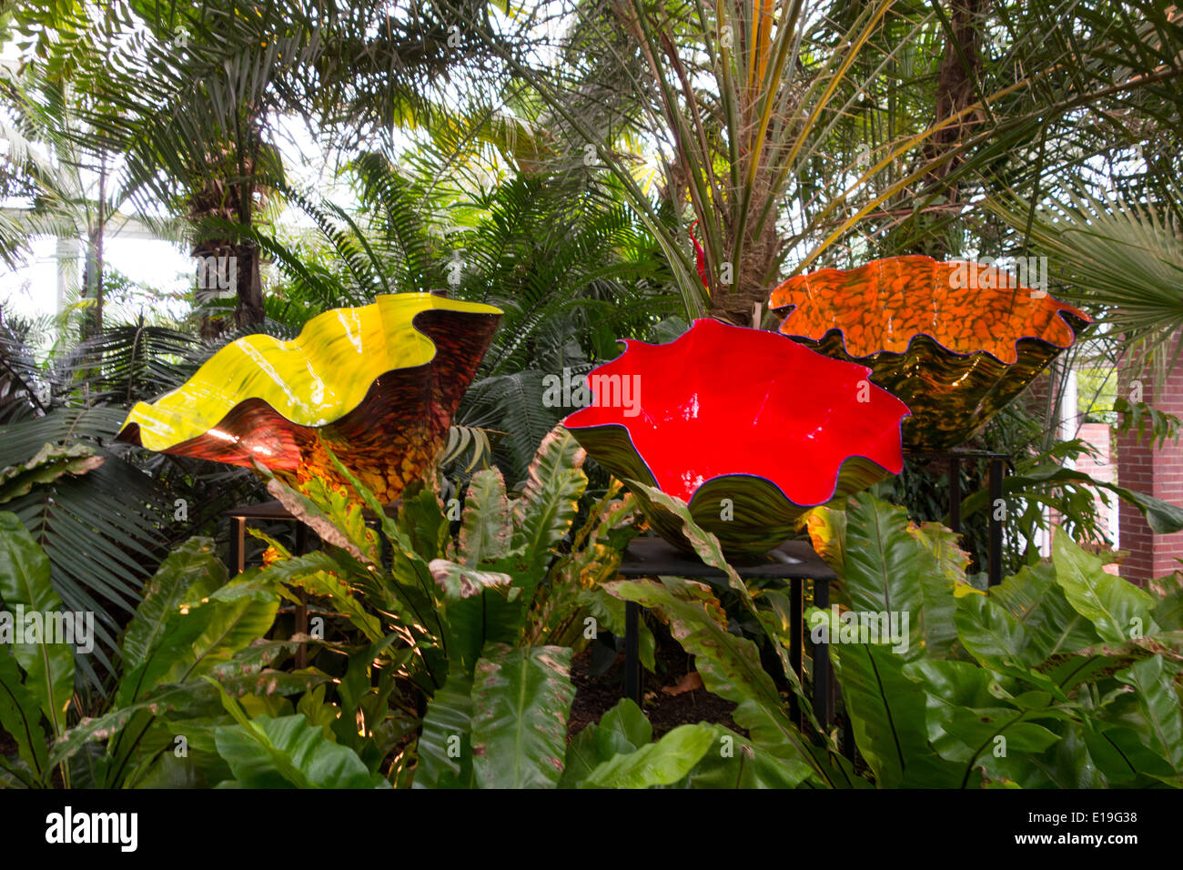 Dale Chihuly nel Conservatorio Phipps Pittsburgh PA Foto Stock