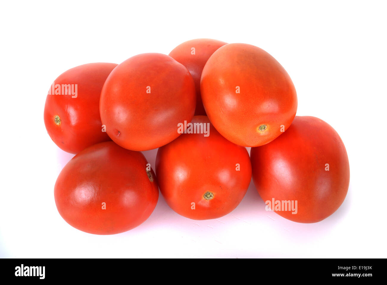 Tomaten Foto Stock