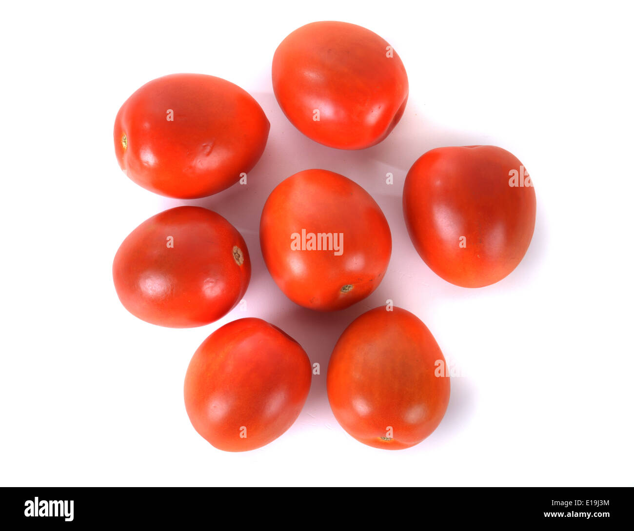 Tomaten Foto Stock