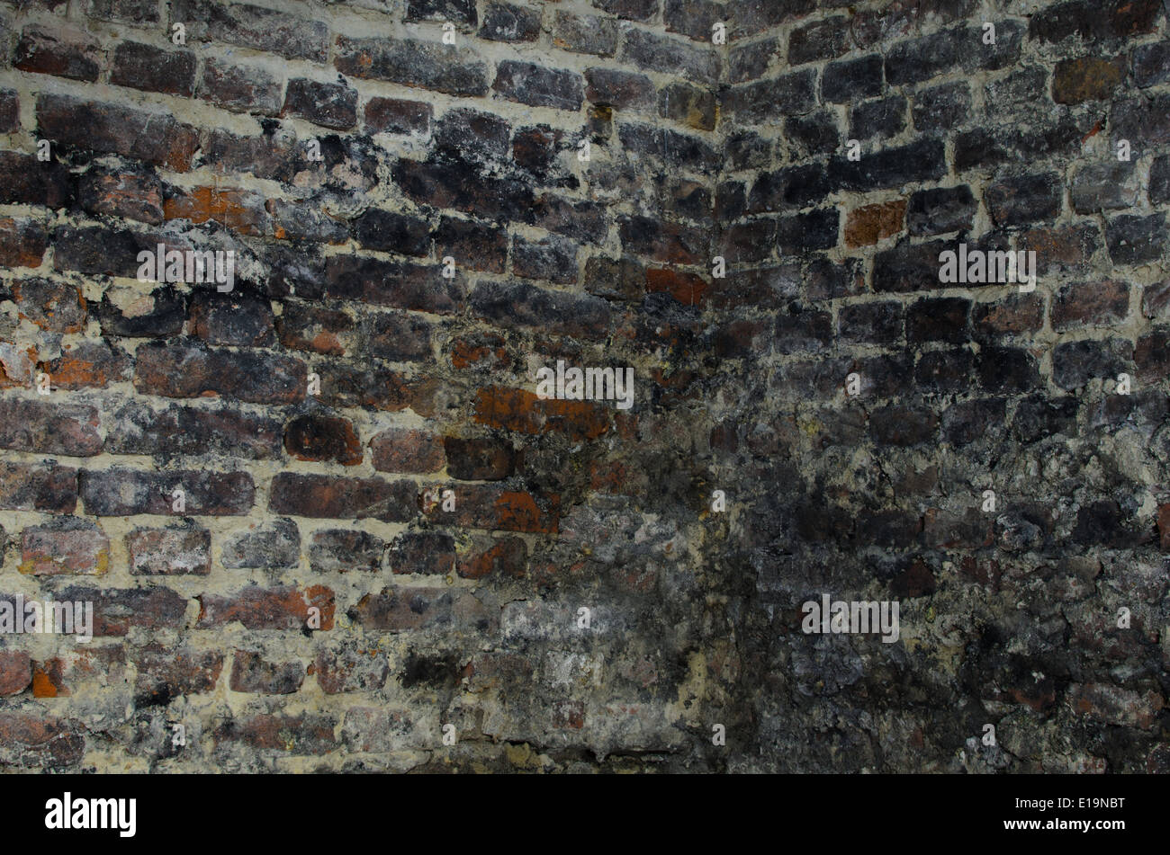 Il vecchio muro in mattoni in cantina Foto Stock