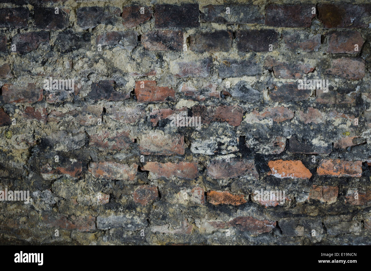 Il vecchio muro in mattoni in cantina Foto Stock