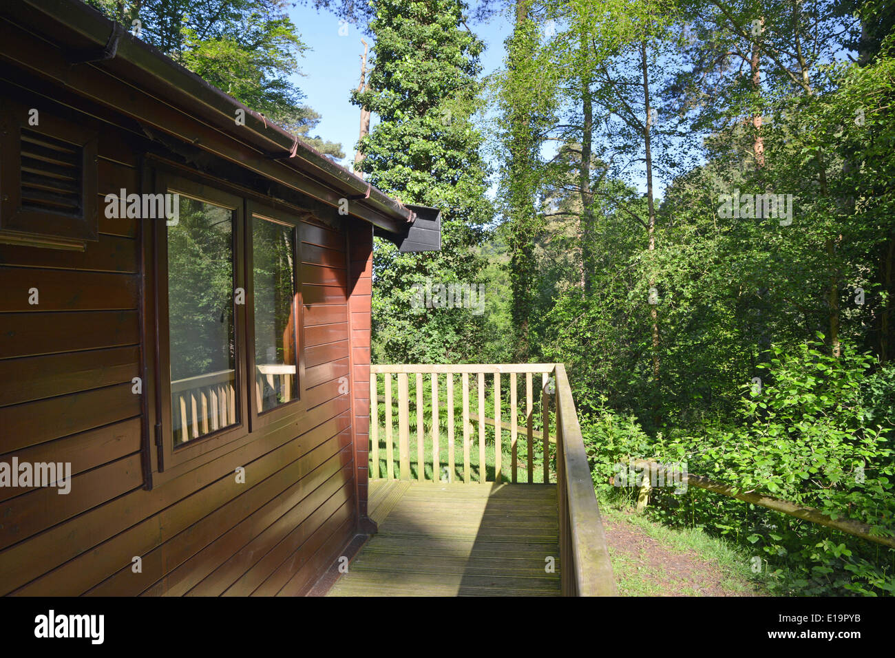 Lodge nella nuova foresta Godshill Hampshire REGNO UNITO Inghilterra Foto Stock