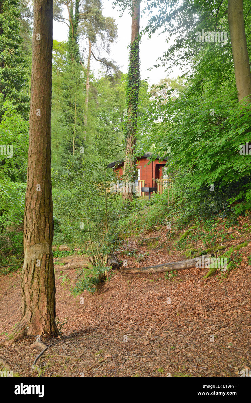 Lodge nella nuova foresta Godshill Hampshire REGNO UNITO Inghilterra Foto Stock