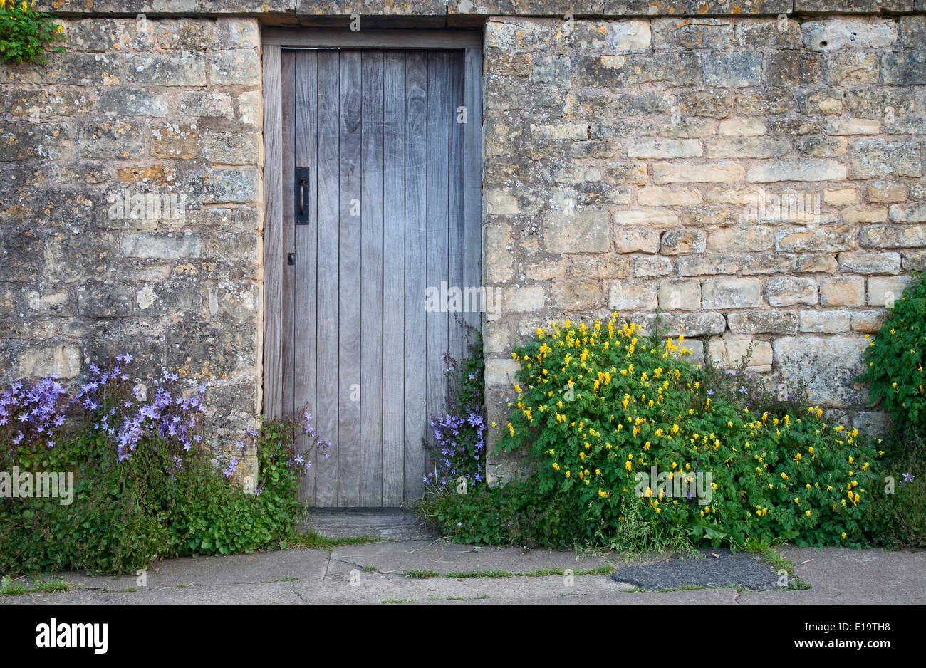 Giardino parete con la porta di legno e fiori, Cotswolds, Chipping Campden, Gloucestershire, Inghilterra. Foto Stock