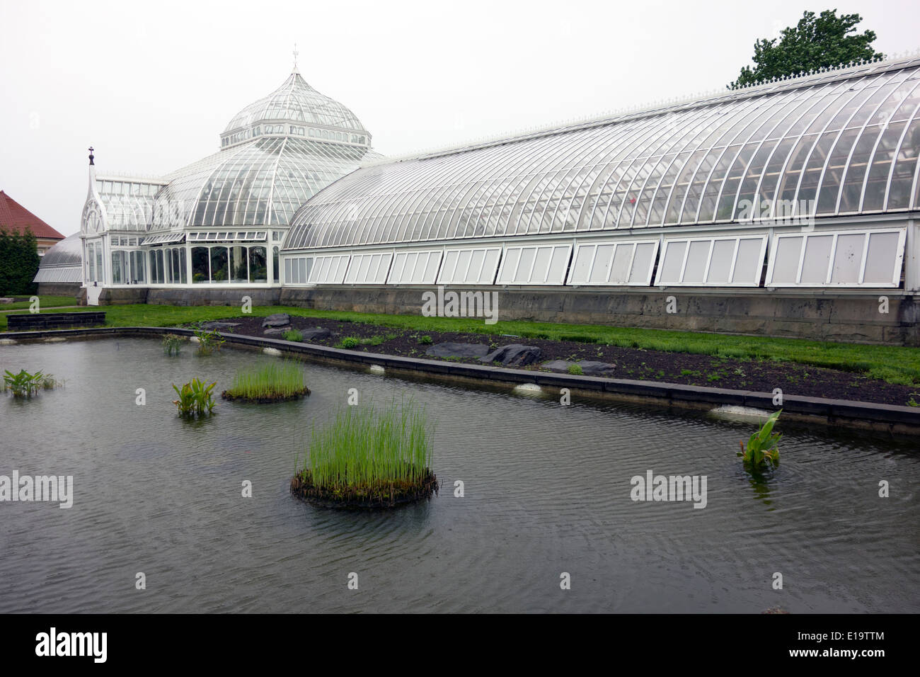 Phipps conservatorio Pittsburgh PA Foto Stock
