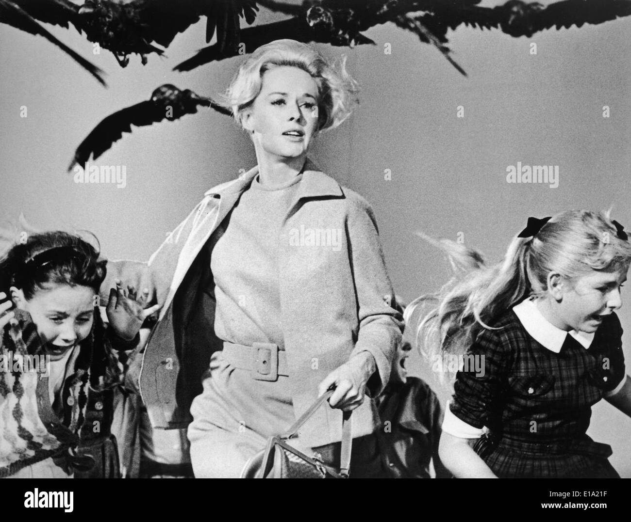 Gli uccelli - Tippi Hedren - Direttore : Alfred Hitchcock Foto Stock