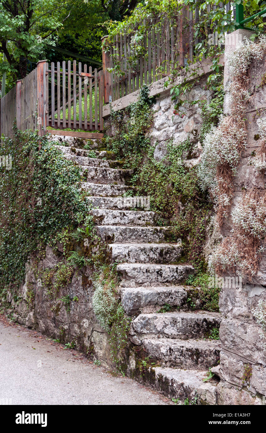 Vecchia scala di pietra che conduce al cancello di legno ingresso Foto Stock