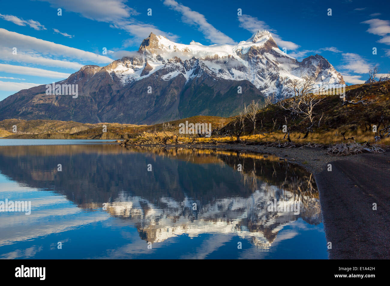 Cerro Paine Grande riflettendo in Lago Nordenskjold, Torres del Paine, Patagonia cilena Foto Stock