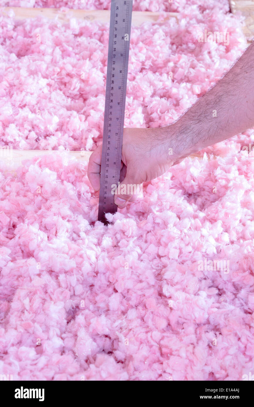 Il contraente il controllo della efficienza energetica della loro casa misurando lo spessore di isolamento in fibra di vetro in soffitta Foto Stock