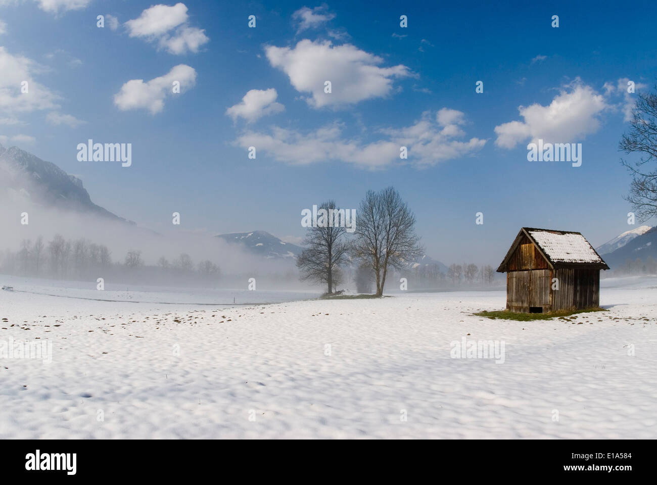 Nebbia paesaggi austriaco Foto Stock