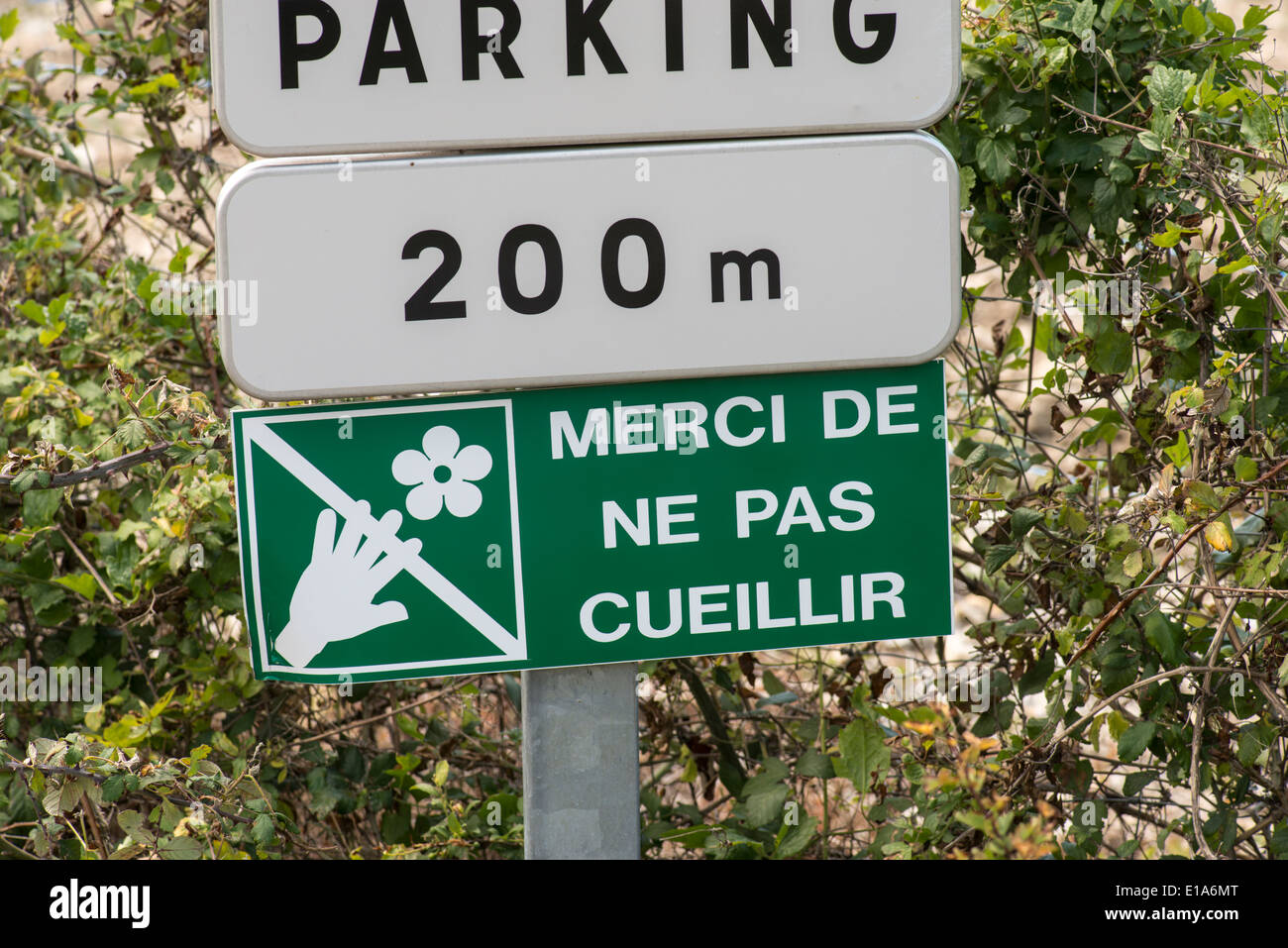 Non raccogliere fiori selvatici segno. Provenza, Francia Foto Stock