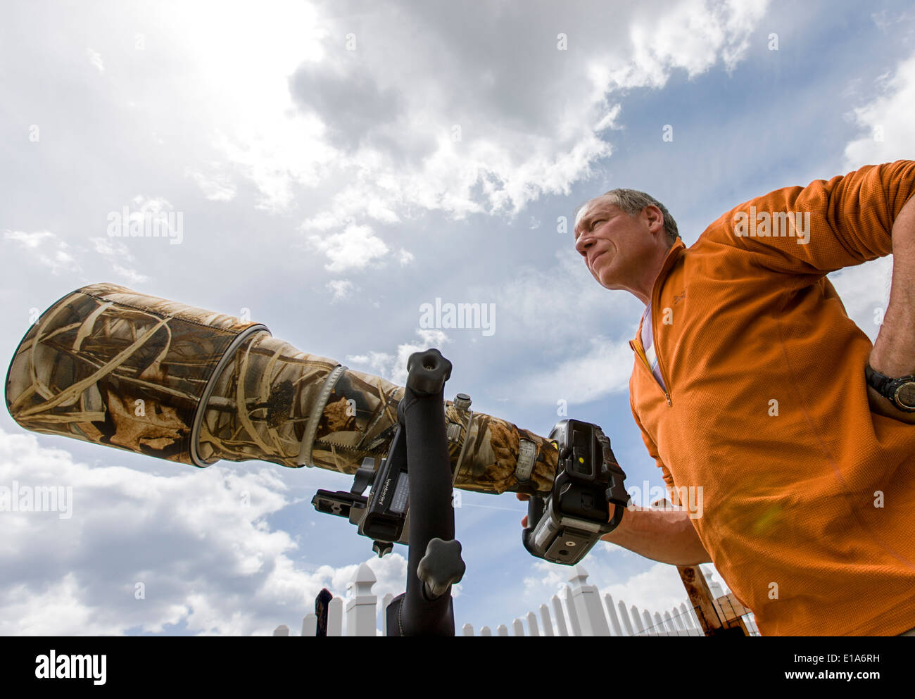 Wildlife Photographer H. Mark Weidman lavora con un grande teleobiettivo Foto Stock