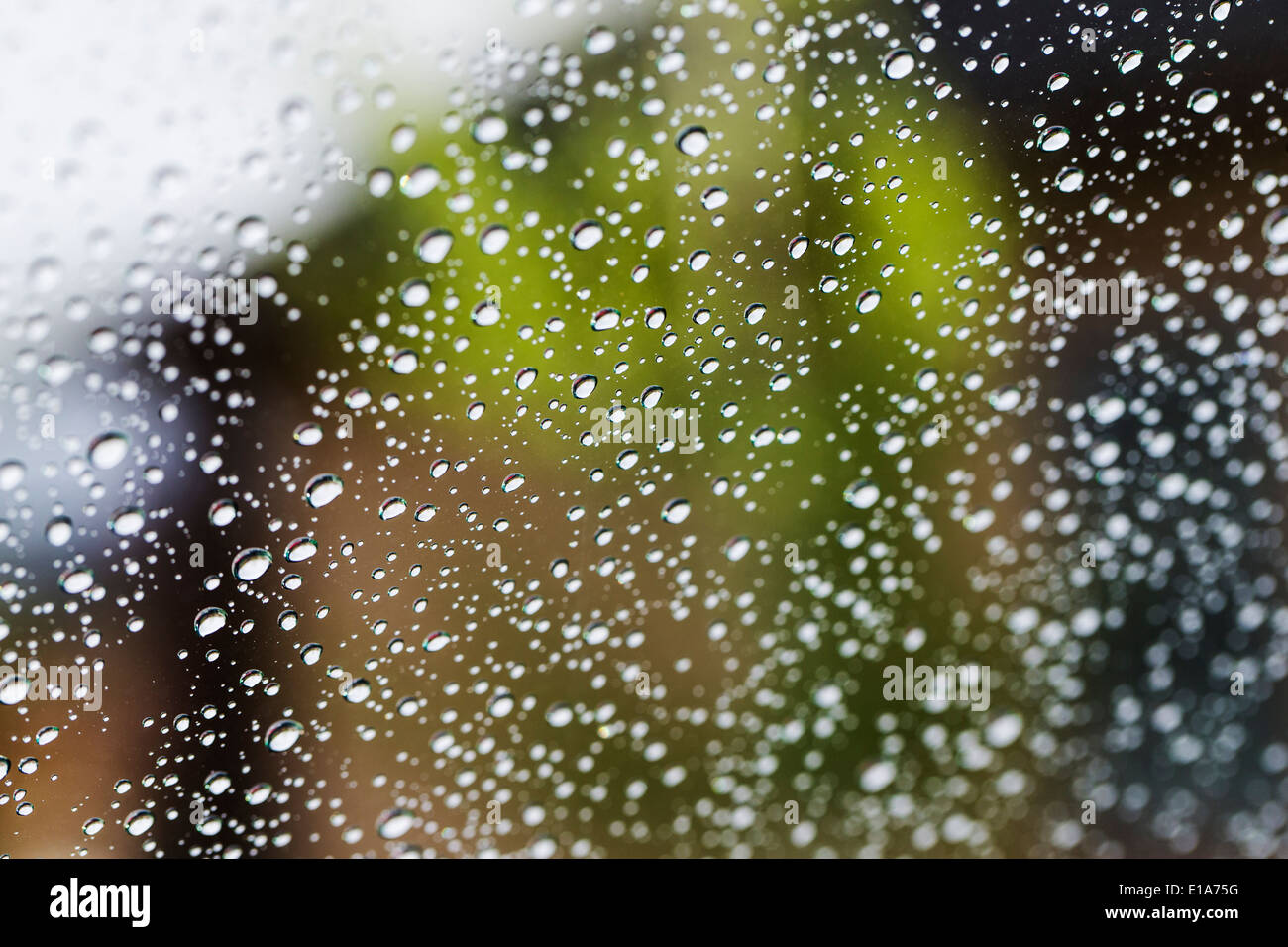 Perle di pioggia le goccioline di acqua sulla Toyota 4Runner carrello Foto Stock