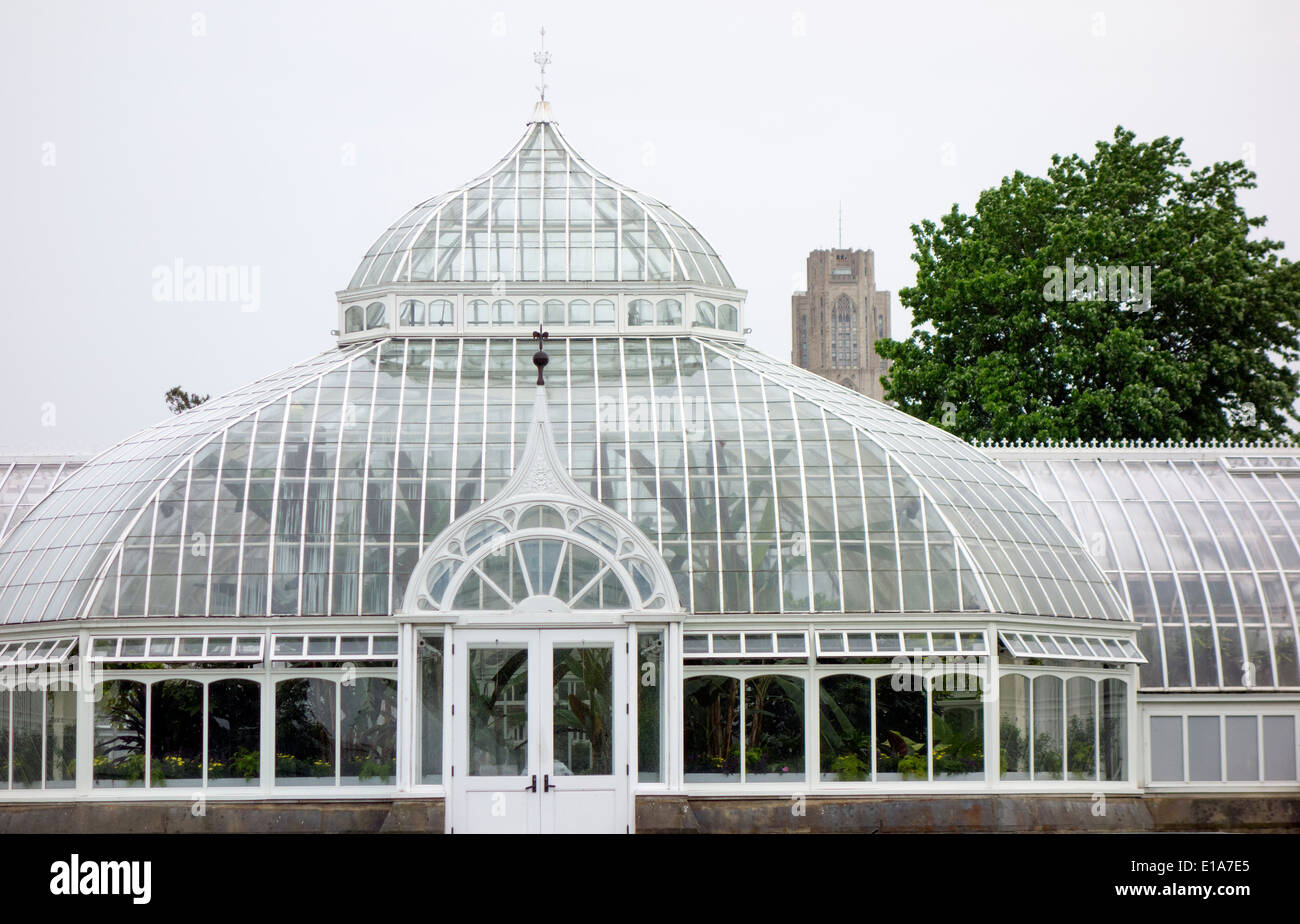 Phipps conservatorio Pittsburgh PA Foto Stock