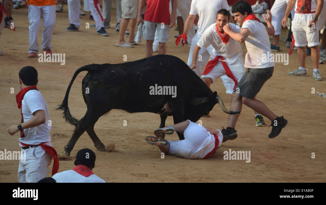 I frequentatori del festival in esecuzione da un toro nella Plaza de Toros di Pamplona durante la Fiesta de San Fermin Foto Stock