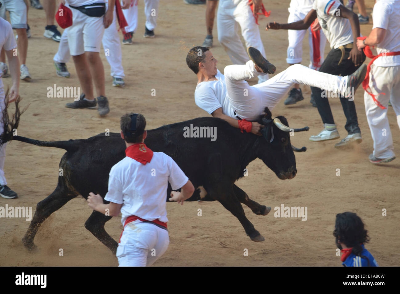 I frequentatori del festival in esecuzione da un toro nella Plaza de Toros di Pamplona durante la Fiesta de San Fermin Foto Stock