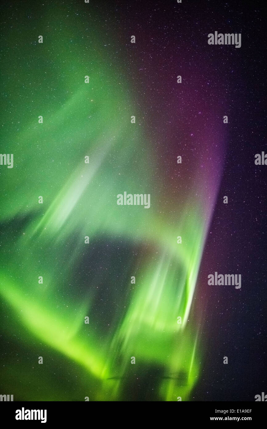 Aurora Boreale o luci del nord, Islanda Foto Stock