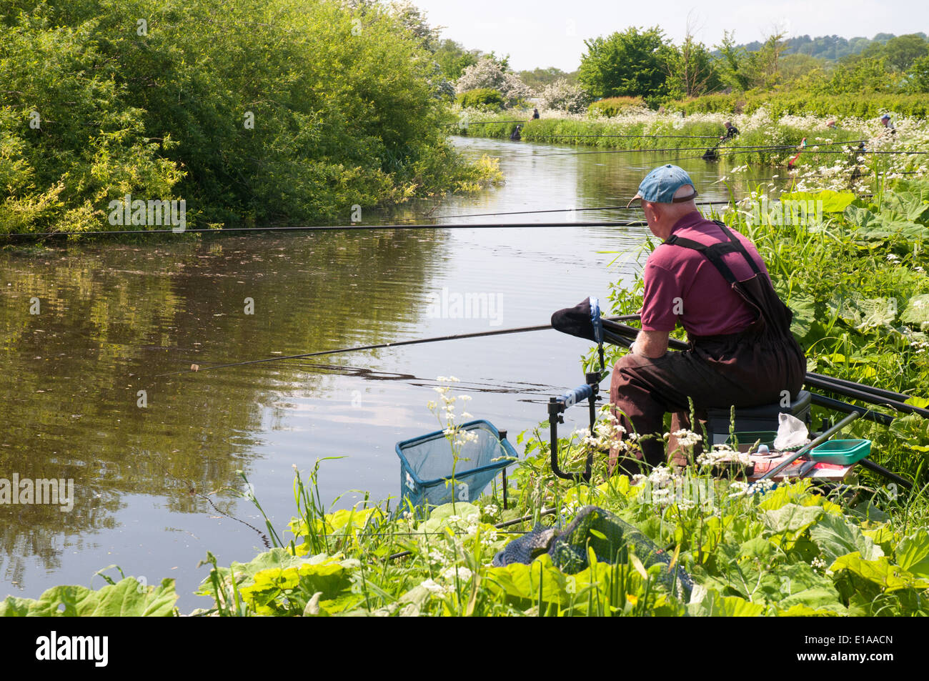 Un weekend pescatore sulla Staffordshire e Worcestershire Canal vicino a Swindon in Black Country, Inghilterra Foto Stock