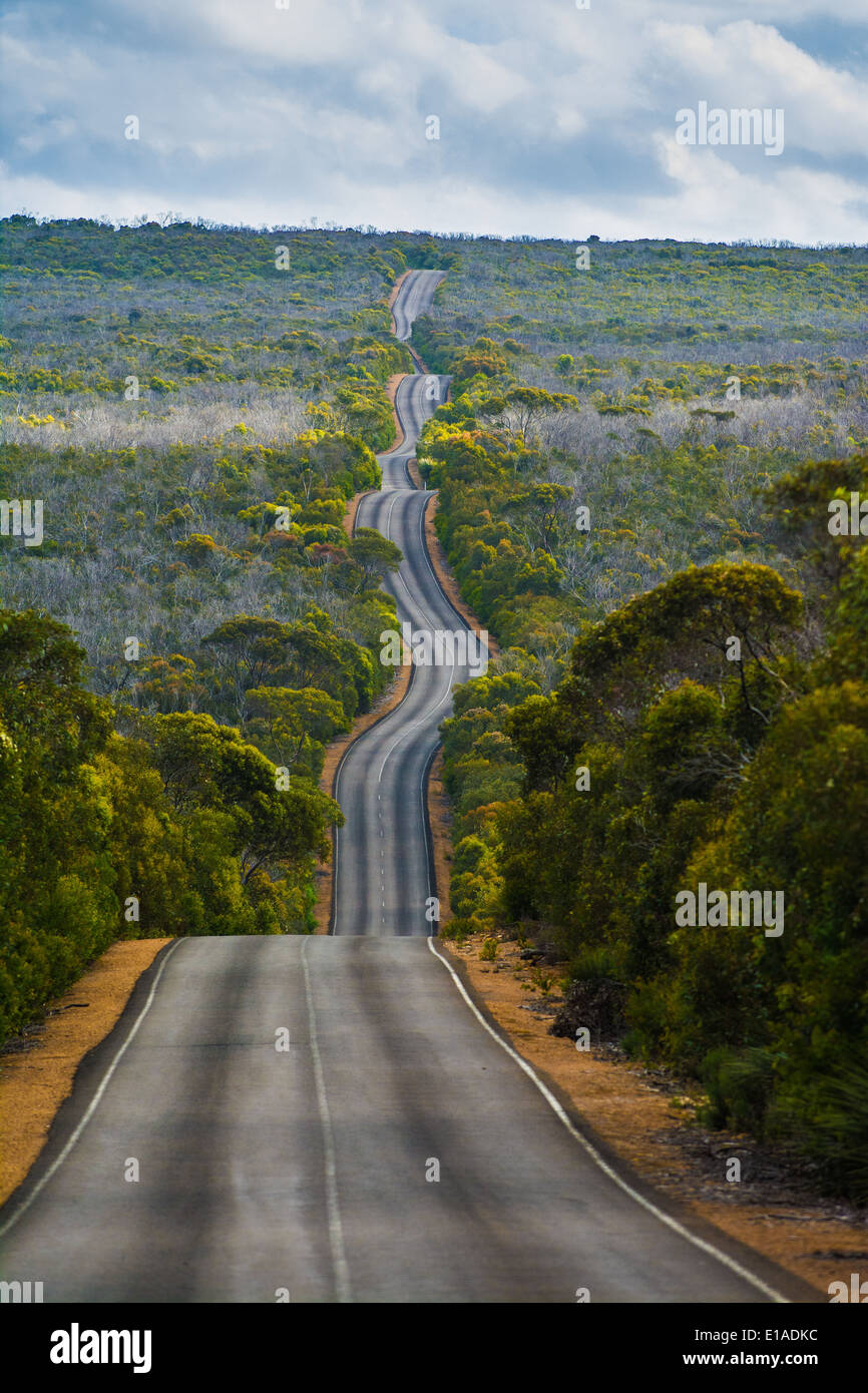La strada di Cape du Couedic, Parco Nazionale di Flinders Chase, Kangaroo Island, Sud Australia Foto Stock
