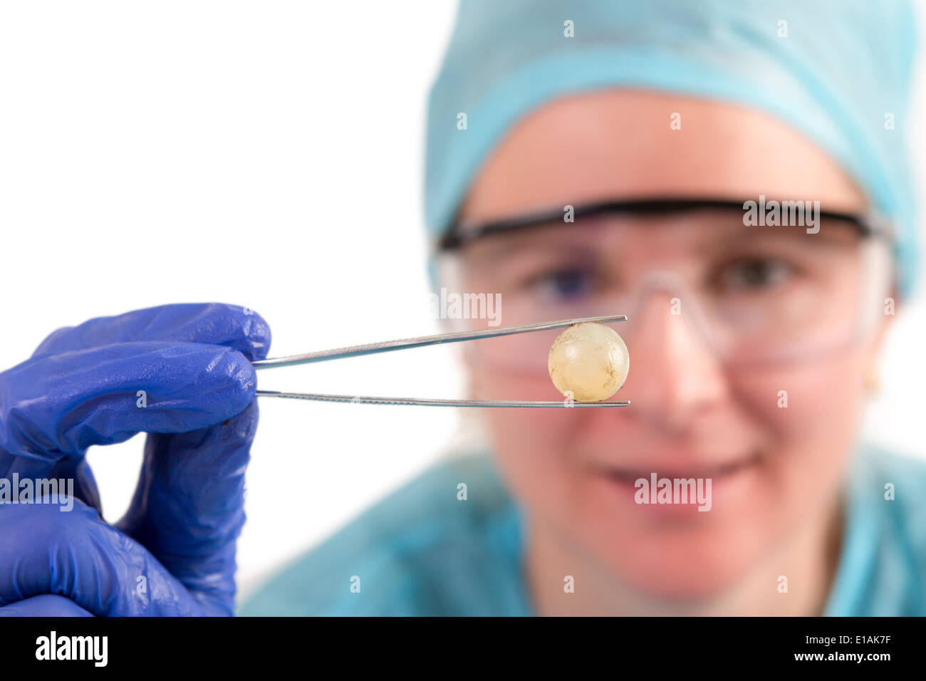 Anatomia e fisiologia studente guardando le pecore occhio palla accuratamente e incredibilmente, il fuoco selettivo sul bulbo oculare Foto Stock