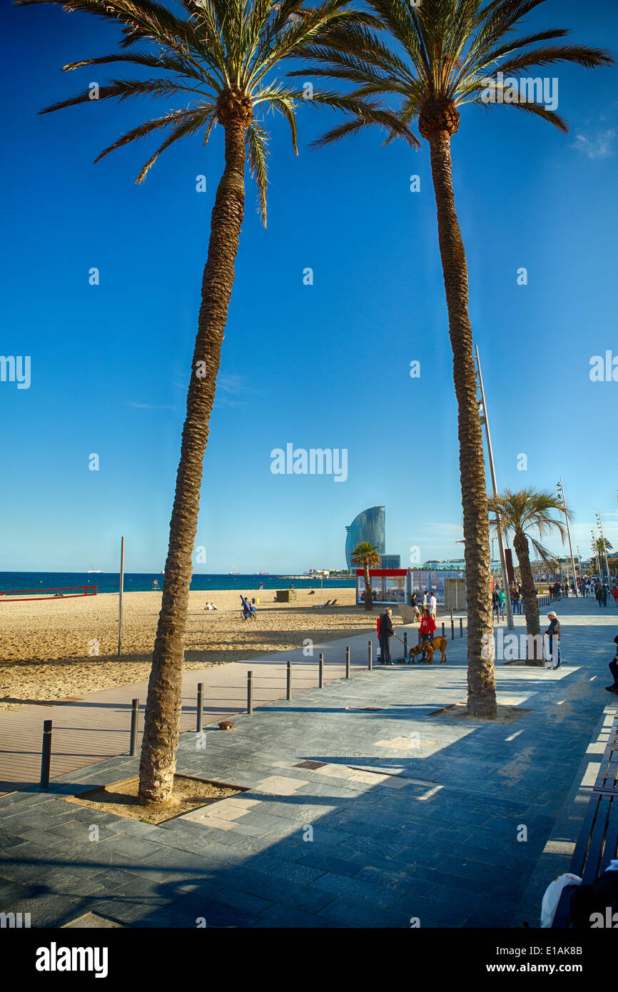 Passeggiata sulla Spiaggia di Barceloneta con palme, Barcellona, in Catalogna, Spagna Foto Stock