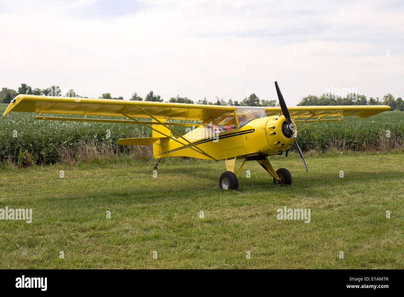 Motore unico aereo ad ala fissa parcheggiata su un prato verde campo sul display durante un airshow rurale Foto Stock