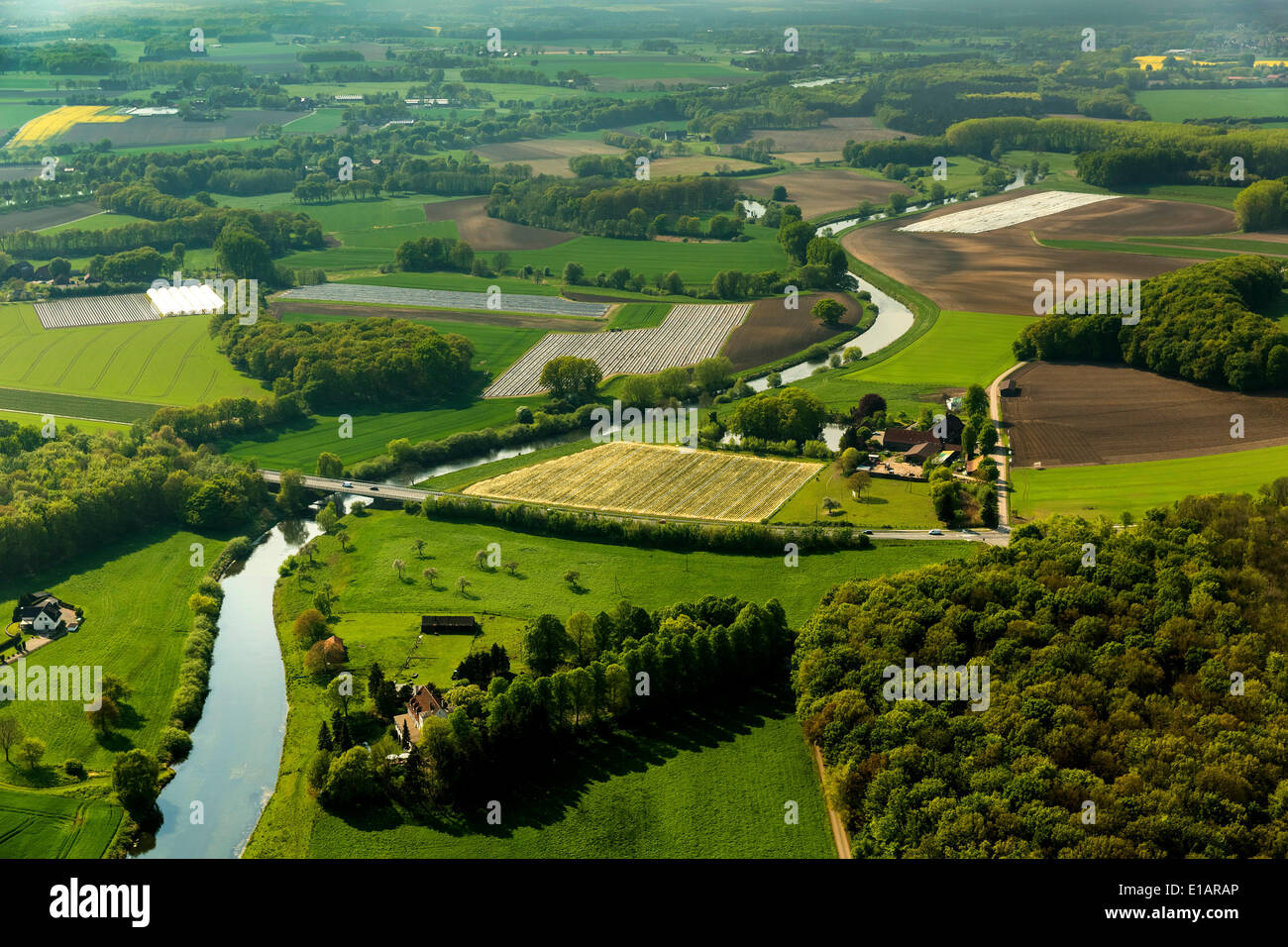 Vista aerea, Lippeauen pianure alluvionali e campi, Olfen, Münsterland, Renania settentrionale-Vestfalia, Germania Foto Stock
