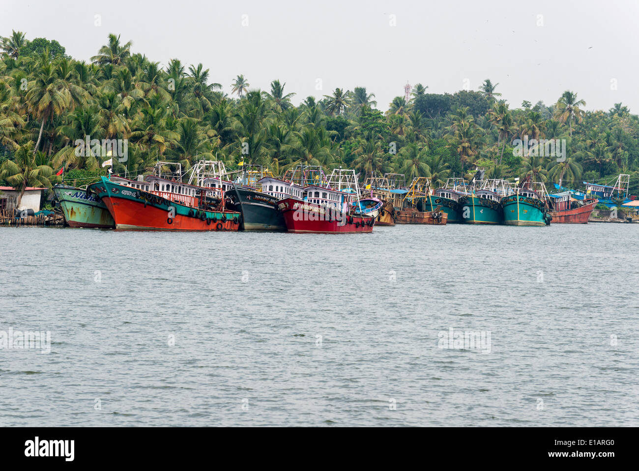 Tipico paesaggio di palme e barche da pesca, Kerala Backwaters, Alappuzha, Kerala, India Foto Stock