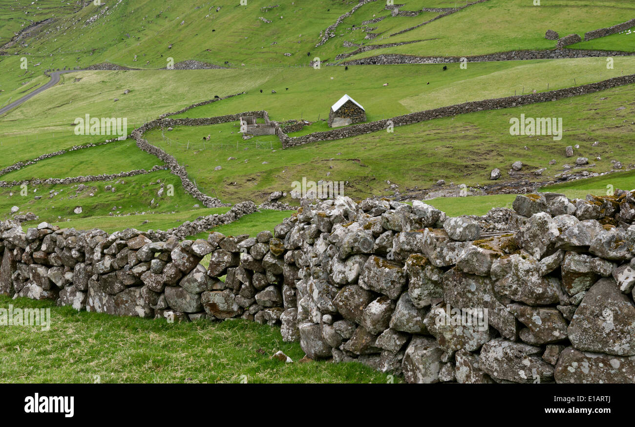 Le antiche pareti di pietra, campi Hattarvík, Fugloy, Isole Faerøer, Danimarca Foto Stock
