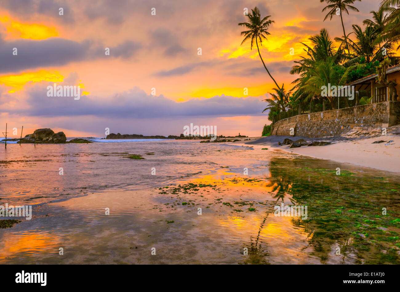 Bellissimo tramonto tropicale su una spiaggia in Sri-Lanka Foto Stock