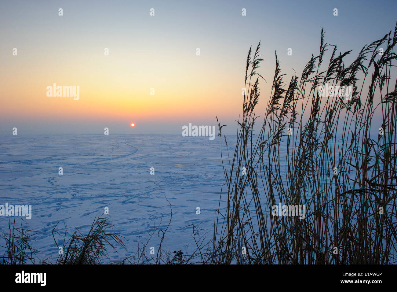 Sera d'inverno sul lago di Dümmer, dümmerlohhausen, distretto di Diepholz, Bassa Sassonia, Germania Foto Stock